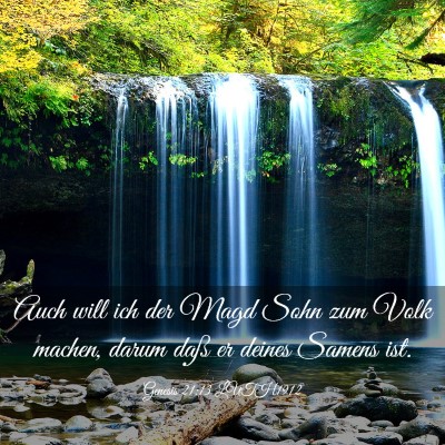 Picture 03 - Genesis 21:13 LUTH1912 - Auch will ich der Magd Sohn zum Volk machen, - Bible Verse Picture