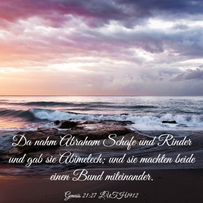Picture 03 - Genesis 21:27 LUTH1912 - Da nahm Abraham Schafe und Rinder und gab sie - Bible Verse Picture