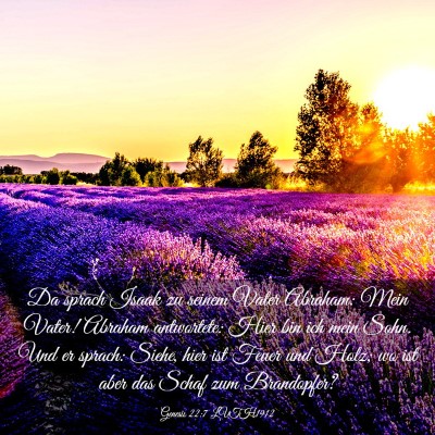 Picture 03 - Genesis 22:7 LUTH1912 - Da sprach Isaak zu seinem Vater Abraham: Mein - Bible Verse Picture