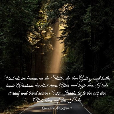 Picture 03 - Genesis 22:9 LUTH1912 - Und als sie kamen an die Stätte, die ihm Gott - Bible Verse Picture