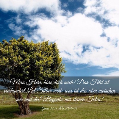 Picture 03 - Genesis 23:15 LUTH1912 - Mein Herr, höre doch mich! Das Feld ist - Bible Verse Picture