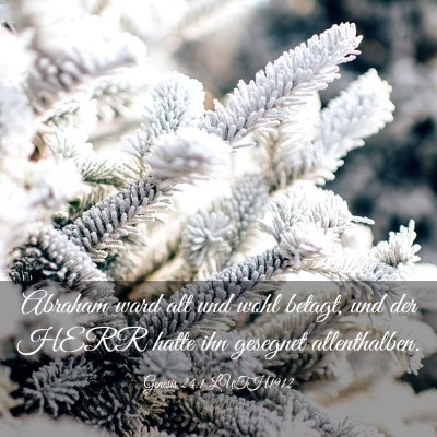 Picture 03 - Genesis 24:1 LUTH1912 - Abraham ward alt und wohl betagt, und der HERR - Bible Verse Picture
