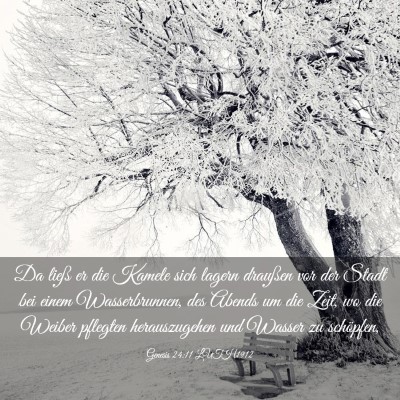 Picture 03 - Genesis 24:11 LUTH1912 - Da ließ er die Kamele sich lagern draußen vor - Bible Verse Picture