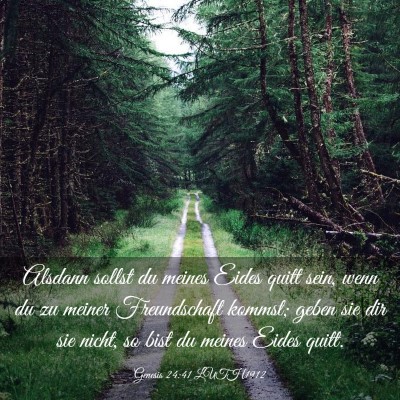 Picture 03 - Genesis 24:41 LUTH1912 - Alsdann sollst du meines Eides quitt sein, wenn - Bible Verse Picture