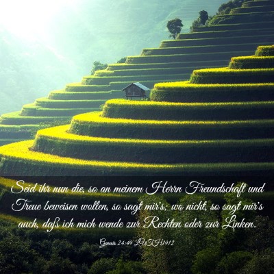 Picture 03 - Genesis 24:49 LUTH1912 - Seid ihr nun die, so an meinem Herrn Freundschaft - Bible Verse Picture