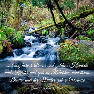 Picture 03 - Genesis 24:53 LUTH1912 - und zog hervor silberne und goldene Kleinode und - Bible Verse Picture