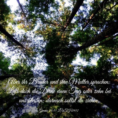 Picture 03 - Genesis 24:55 LUTH1912 - Aber ihr Bruder und ihre Mutter sprachen: Laß - Bible Verse Picture
