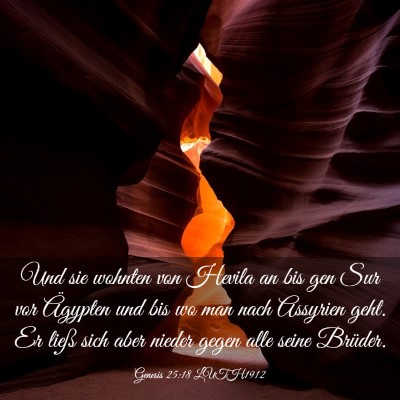 Picture 03 - Genesis 25:18 LUTH1912 - Und sie wohnten von Hevila an bis gen Sur vor - Bible Verse Picture