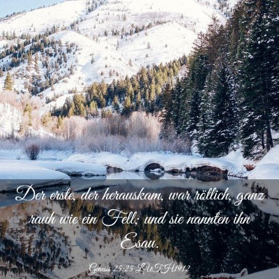 Picture 03 - Genesis 25:25 LUTH1912 - Der erste, der herauskam, war rötlich, ganz rauh - Bible Verse Picture