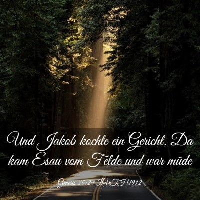 Picture 03 - Genesis 25:29 LUTH1912 - Und Jakob kochte ein Gericht. Da kam Esau vom - Bible Verse Picture