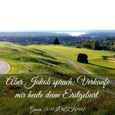 Picture 03 - Genesis 25:31 LUTH1912 - Aber Jakob sprach: Verkaufe mir heute deine - Bible Verse Picture