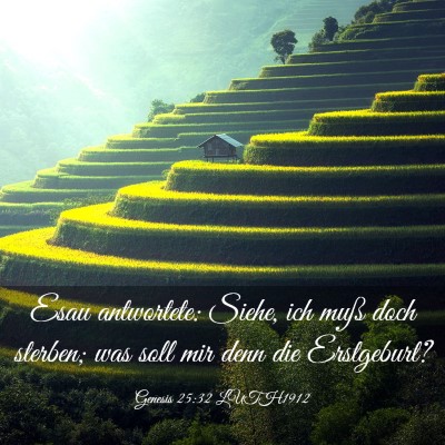 Picture 03 - Genesis 25:32 LUTH1912 - Esau antwortete: Siehe, ich muß doch sterben; - Bible Verse Picture