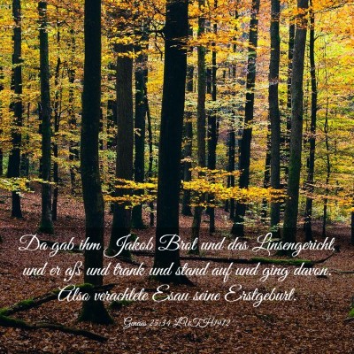 Picture 03 - Genesis 25:34 LUTH1912 - Da gab ihm Jakob Brot und das Linsengericht, und - Bible Verse Picture