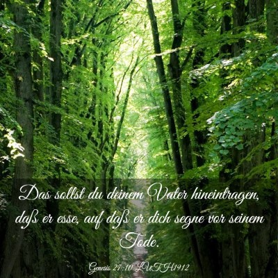 Picture 03 - Genesis 27:10 LUTH1912 - Das sollst du deinem Vater hineintragen, daß er - Bible Verse Picture