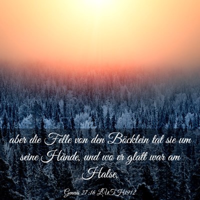Picture 03 - Genesis 27:16 LUTH1912 - aber die Felle von den Böcklein tat sie um seine - Bible Verse Picture