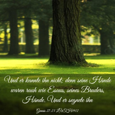 Picture 03 - Genesis 27:23 LUTH1912 - Und er kannte ihn nicht; denn seine Hände waren - Bible Verse Picture