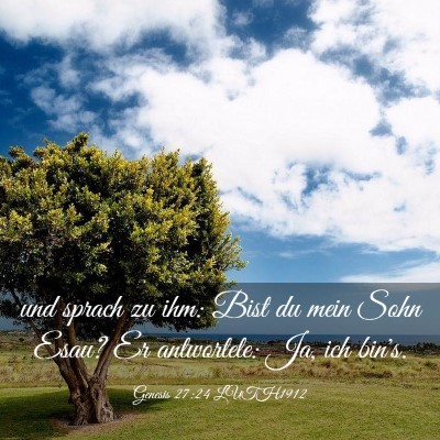 Picture 03 - Genesis 27:24 LUTH1912 - und sprach zu ihm: Bist du mein Sohn Esau? Er - Bible Verse Picture