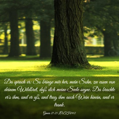 Picture 03 - Genesis 27:25 LUTH1912 - Da sprach er: So bringe mir her, mein Sohn, zu - Bible Verse Picture