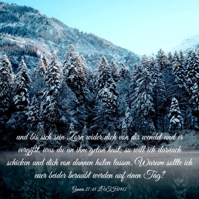 Picture 03 - Genesis 27:45 LUTH1912 - und bis sich sein Zorn wider dich von dir wendet - Bible Verse Picture