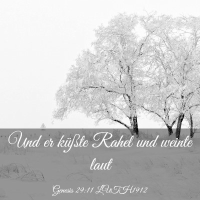 Picture 03 - Genesis 29:11 LUTH1912 - Und er küßte Rahel und weinte - Bible Verse Picture