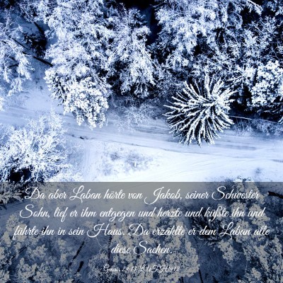 Picture 03 - Genesis 29:13 LUTH1912 - Da aber Laban hörte von Jakob, seiner Schwester - Bible Verse Picture