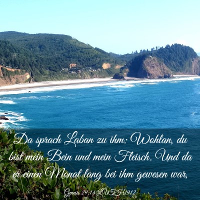 Picture 03 - Genesis 29:14 LUTH1912 - Da sprach Laban zu ihm: Wohlan, du bist mein Bein - Bible Verse Picture