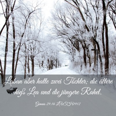 Picture 03 - Genesis 29:16 LUTH1912 - Laban aber hatte zwei Töchter; die ältere hieß - Bible Verse Picture
