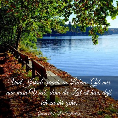 Picture 03 - Genesis 29:21 LUTH1912 - Und Jakob sprach zu Laban: Gib mir nun mein Weib, - Bible Verse Picture