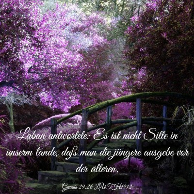 Picture 03 - Genesis 29:26 LUTH1912 - Laban antwortete: Es ist nicht Sitte in unserm - Bible Verse Picture