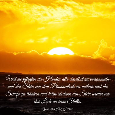 Picture 03 - Genesis 29:3 LUTH1912 - Und sie pflegten die Herden alle daselbst zu - Bible Verse Picture