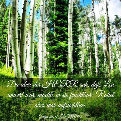 Picture 03 - Genesis 29:31 LUTH1912 - Da aber der HERR sah, daß Lea unwert war, machte - Bible Verse Picture