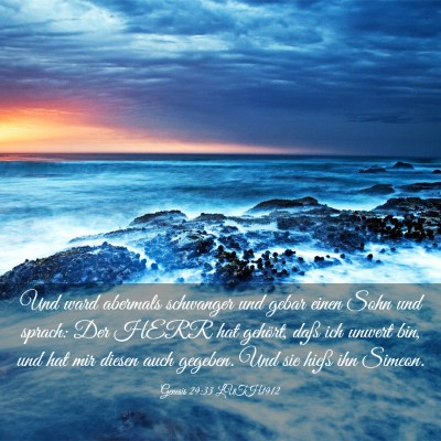 Picture 03 - Genesis 29:33 LUTH1912 - Und ward abermals schwanger und gebar einen Sohn - Bible Verse Picture