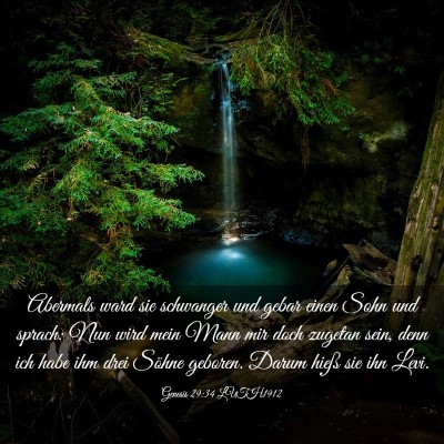 Picture 03 - Genesis 29:34 LUTH1912 - Abermals ward sie schwanger und gebar einen Sohn - Bible Verse Picture