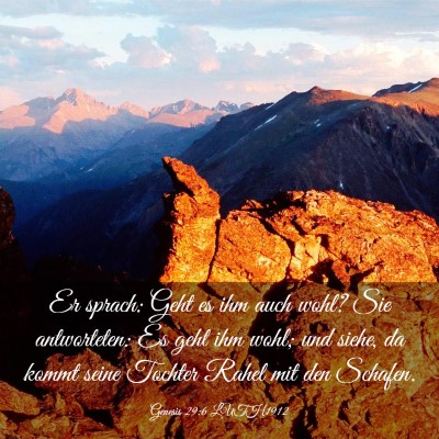 Picture 03 - Genesis 29:6 LUTH1912 - Er sprach: Geht es ihm auch wohl? Sie - Bible Verse Picture