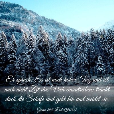 Picture 03 - Genesis 29:7 LUTH1912 - Er sprach: Es ist noch hoher Tag und ist noch - Bible Verse Picture