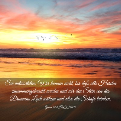 Picture 03 - Genesis 29:8 LUTH1912 - Sie antworteten: Wir können nicht, bis daß alle - Bible Verse Picture