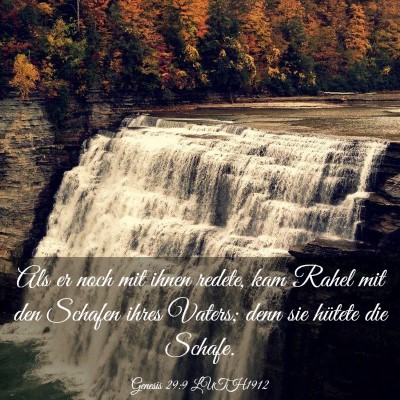 Picture 03 - Genesis 29:9 LUTH1912 - Als er noch mit ihnen redete, kam Rahel mit den - Bible Verse Picture