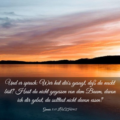 Picture 03 - Genesis 3:11 LUTH1912 - Und er sprach: Wer hat dir's gesagt, daß du - Bible Verse Picture