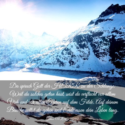 Picture 03 - Genesis 3:14 LUTH1912 - Da sprach Gott der HERR zu der Schlange: Weil du - Bible Verse Picture