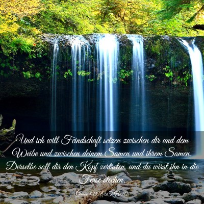 Picture 03 - Genesis 3:15 LUTH1912 - Und ich will Feindschaft setzen zwischen dir und - Bible Verse Picture