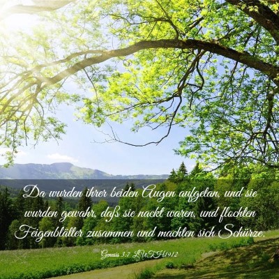 Picture 03 - Genesis 3:7 LUTH1912 - Da wurden ihrer beiden Augen aufgetan, und sie - Bible Verse Picture