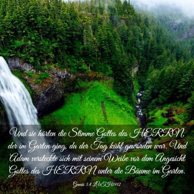 Picture 03 - Genesis 3:8 LUTH1912 - Und sie hörten die Stimme Gottes des HERRN, der - Bible Verse Picture