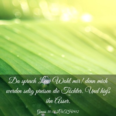 Picture 03 - Genesis 30:13 LUTH1912 - Da sprach Lea: Wohl mir! denn mich werden selig - Bible Verse Picture