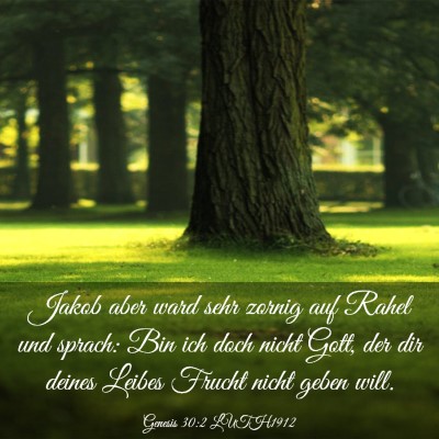 Picture 03 - Genesis 30:2 LUTH1912 - Jakob aber ward sehr zornig auf Rahel und sprach: - Bible Verse Picture