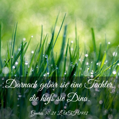 Picture 03 - Genesis 30:21 LUTH1912 - Darnach gebar sie eine Tochter, die hieß sie - Bible Verse Picture
