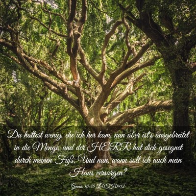 Picture 03 - Genesis 30:30 LUTH1912 - Du hattest wenig, ehe ich her kam, nun aber ist's - Bible Verse Picture