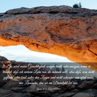 Picture 03 - Genesis 30:33 LUTH1912 - So wird meine Gerechtigkeit zeugen heute oder - Bible Verse Picture