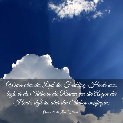 Picture 03 - Genesis 30:41 LUTH1912 - Wenn aber der Lauf der Frühling-Herde war, legte - Bible Verse Picture