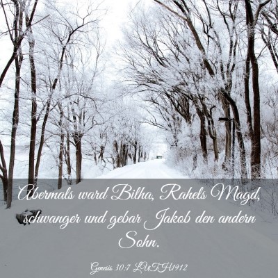 Picture 03 - Genesis 30:7 LUTH1912 - Abermals ward Bilha, Rahels Magd, schwanger und - Bible Verse Picture