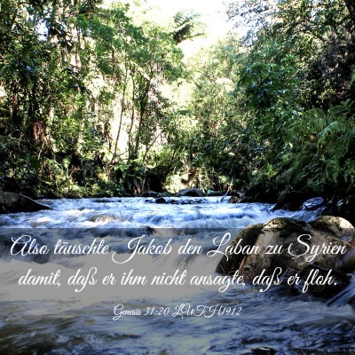 Picture 03 - Genesis 31:20 LUTH1912 - Also täuschte Jakob den Laban zu Syrien damit, - Bible Verse Picture